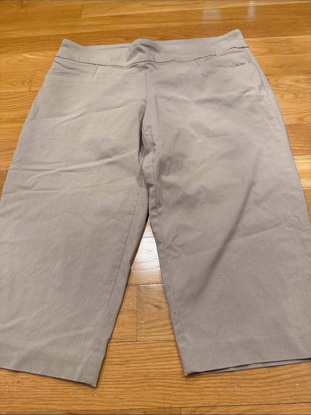 Terra & sky beige pull on capris Pants size 0X (14W).